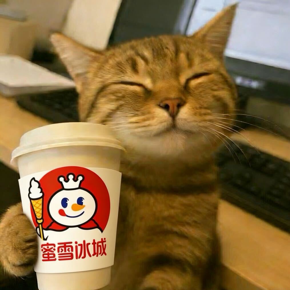 服主皮肤头像